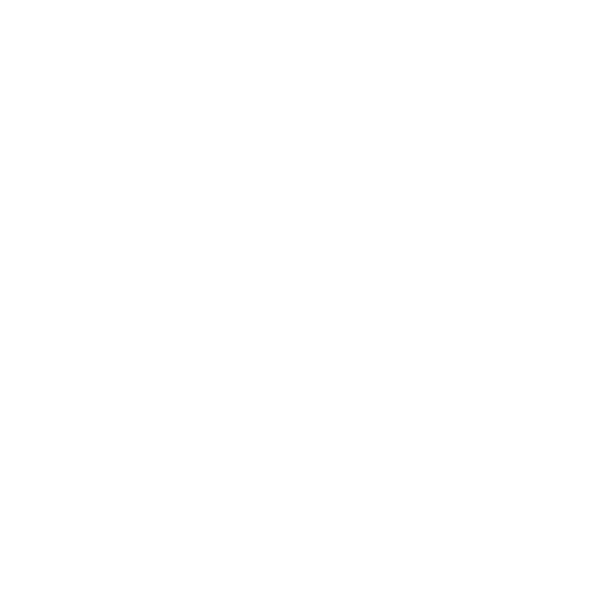 Domus Finance